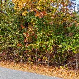 Photo #2 of Pin Oak Rd, Prospect, VA 5.0 acres