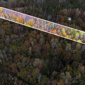 Photo #9 of Pin Oak Rd, Prospect, VA 5.0 acres