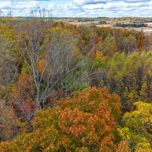 Photo #3 of Pin Oak Rd, Prospect, VA 5.0 acres