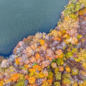 Photo #13 of Pin Oak Rd, Prospect, VA 5.0 acres