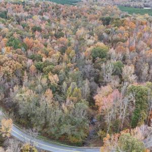 Photo #4 of 1135 Acorn Road, Nathalie, VA 6.0 acres