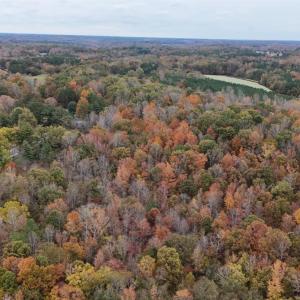 Photo #3 of Acorn Road, Nathalie, VA 17.9 acres