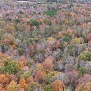 Photo #1 of Acorn Road, Nathalie, VA 17.9 acres