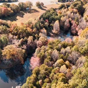 Photo #46 of 7941 Sugar Hill Road, Brookneal, VA 48.6 acres