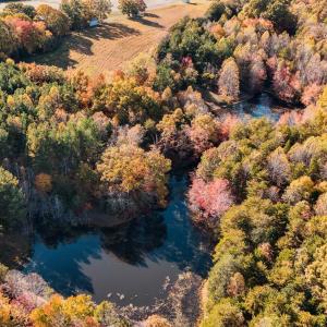 Photo #6 of 7941 Sugar Hill Road, Brookneal, VA 48.6 acres