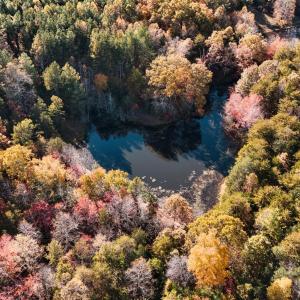 Photo #47 of 7941 Sugar Hill Road, Brookneal, VA 48.6 acres