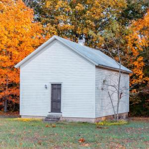 Photo #5 of 7941 Sugar Hill Road, Brookneal, VA 48.6 acres