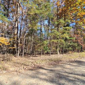 Photo #13 of Ashwell Ridge Drive, Huddleston, VA 5.7 acres