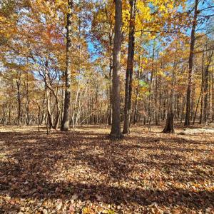 Photo #10 of Ashwell Ridge Drive, Huddleston, VA 5.7 acres