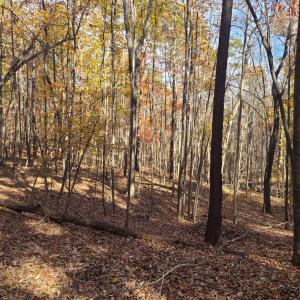 Photo #6 of Ashwell Ridge Drive, Huddleston, VA 5.7 acres