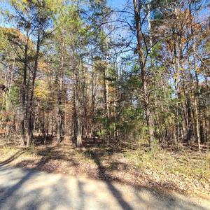 Photo #12 of Ashwell Ridge Drive, Huddleston, VA 5.7 acres