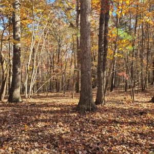 Photo #9 of Ashwell Ridge Drive, Huddleston, VA 5.7 acres