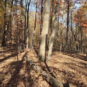 Photo #4 of Ashwell Ridge Drive, Huddleston, VA 5.7 acres