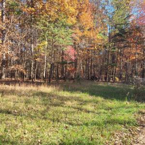 Photo #3 of Ashwell Ridge Drive, Huddleston, VA 5.7 acres
