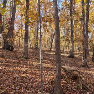 Photo #5 of Ashwell Ridge Drive, Huddleston, VA 5.7 acres