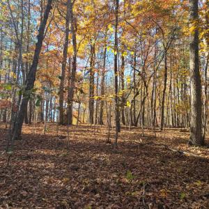 Photo #8 of Ashwell Ridge Drive, Huddleston, VA 5.7 acres