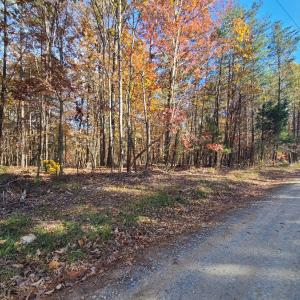 Photo #1 of Ashwell Ridge Drive, Huddleston, VA 5.7 acres