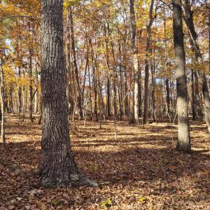 Photo #7 of Ashwell Ridge Drive, Huddleston, VA 5.7 acres