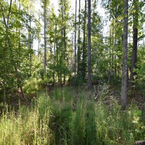 Photo #12 of VL Dancing Creek Road, Monroe, VA 30.0 acres