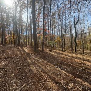 Photo #15 of 9 Dulwich Drive, Amherst, VA 19.8 acres