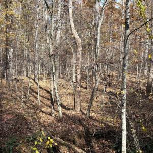 Photo #28 of 9 Dulwich Drive, Amherst, VA 19.8 acres