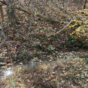 Photo #21 of 9 Dulwich Drive, Amherst, VA 19.8 acres