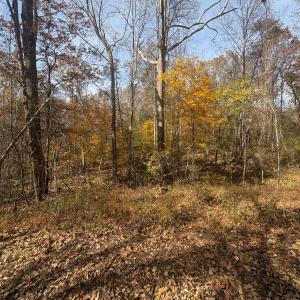 Photo #19 of 9 Dulwich Drive, Amherst, VA 19.8 acres