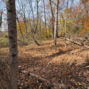 Photo #9 of 9 Dulwich Drive, Amherst, VA 19.8 acres