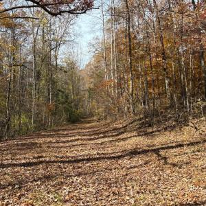 Photo #25 of 9 Dulwich Drive, Amherst, VA 19.8 acres