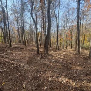 Photo #14 of 9 Dulwich Drive, Amherst, VA 19.8 acres