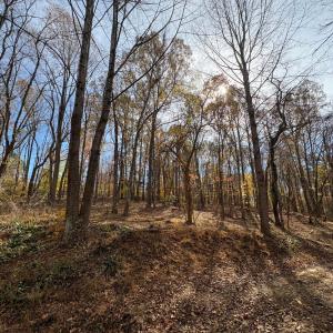 Photo #10 of 9 Dulwich Drive, Amherst, VA 19.8 acres