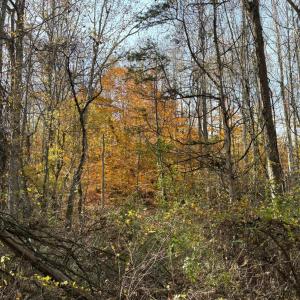 Photo #27 of 9 Dulwich Drive, Amherst, VA 19.8 acres