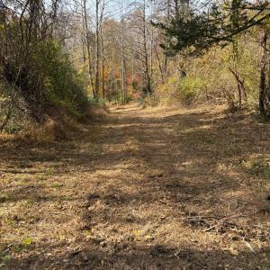 Photo #8 of 9 Dulwich Drive, Amherst, VA 19.8 acres