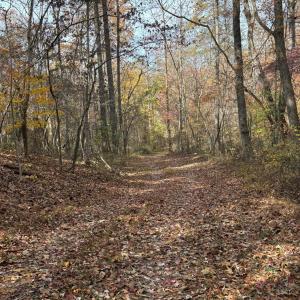 Photo #23 of 9 Dulwich Drive, Amherst, VA 19.8 acres