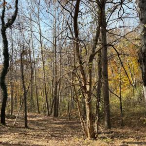 Photo #16 of 9 Dulwich Drive, Amherst, VA 19.8 acres