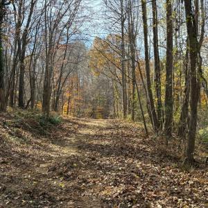 Photo #17 of 9 Dulwich Drive, Amherst, VA 19.8 acres