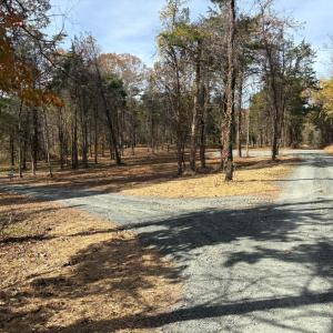 Photo #6 of 9 Dulwich Drive, Amherst, VA 19.8 acres