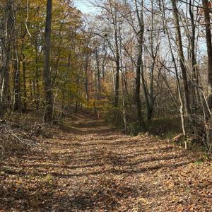 Photo #22 of 9 Dulwich Drive, Amherst, VA 19.8 acres