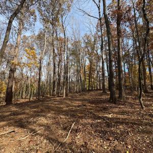 Photo #12 of 9 Dulwich Drive, Amherst, VA 19.8 acres