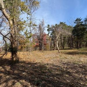 Photo #21 of 9 Dulwich Drive, Amherst, VA 21.7 acres