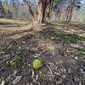 Photo #9 of 9 Dulwich Drive, Amherst, VA 21.7 acres