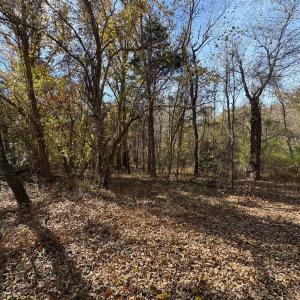 Photo #16 of 9 Dulwich Drive, Amherst, VA 21.7 acres