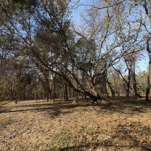 Photo #10 of 9 Dulwich Drive, Amherst, VA 21.7 acres