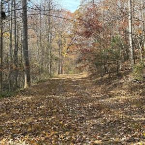 Photo #33 of 9 Dulwich Drive, Amherst, VA 21.7 acres