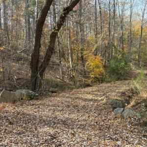 Photo #28 of 9 Dulwich Drive, Amherst, VA 21.7 acres