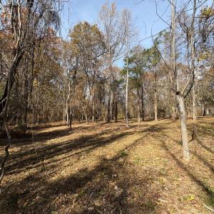 Photo #19 of 9 Dulwich Drive, Amherst, VA 21.7 acres