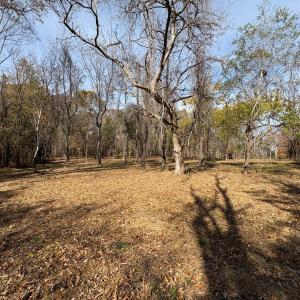 Photo #17 of 9 Dulwich Drive, Amherst, VA 21.7 acres