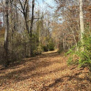 Photo #36 of 9 Dulwich Drive, Amherst, VA 21.7 acres