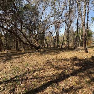 Photo #11 of 9 Dulwich Drive, Amherst, VA 21.7 acres