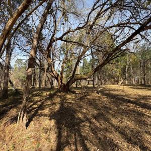 Photo #12 of 9 Dulwich Drive, Amherst, VA 21.7 acres